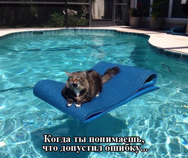 Прикольная фотоподборка