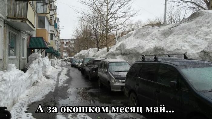 Веселая подборка фотоприколов