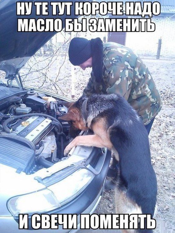 Автоюмор