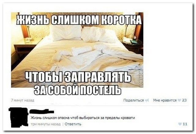 Смешные комментарии из социальных сетей