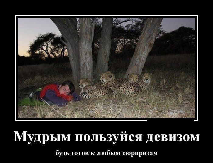 Демотивационные приколы