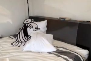 Рисованный мультик в реальном времени