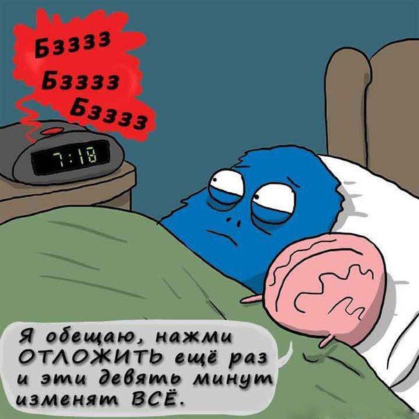 Улыбательные комисы
