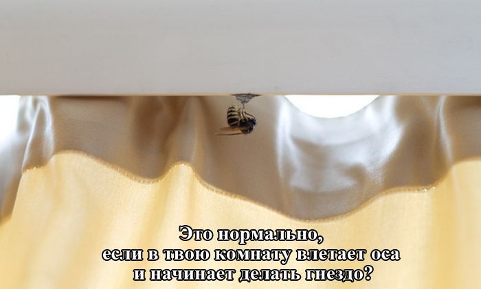 Уморительные фотоприколы