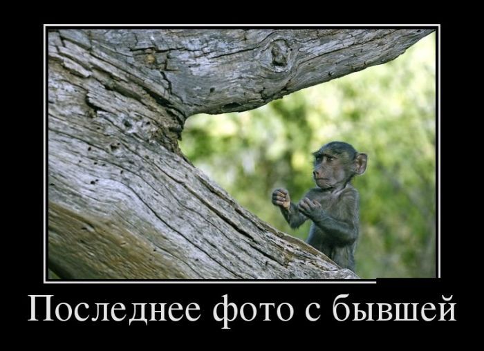 Классная демотивация