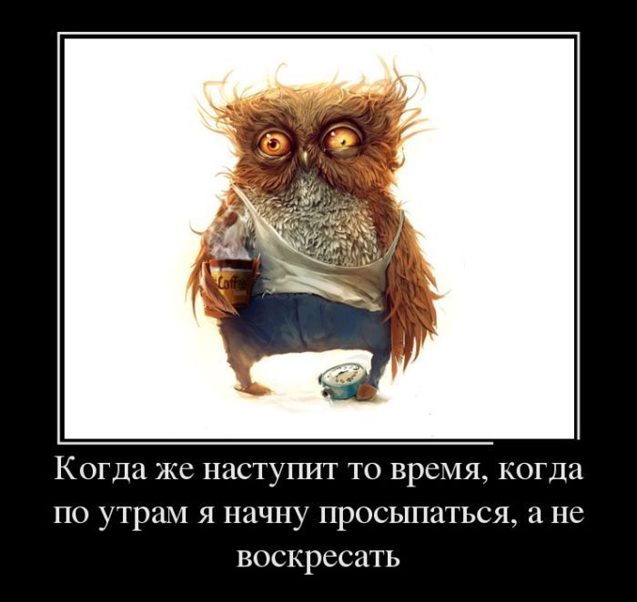 Заряд позитива в демотиваторах