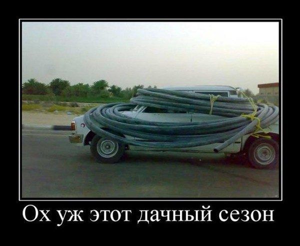 Наступило лето!