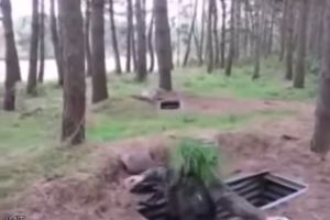 Приколы в армии