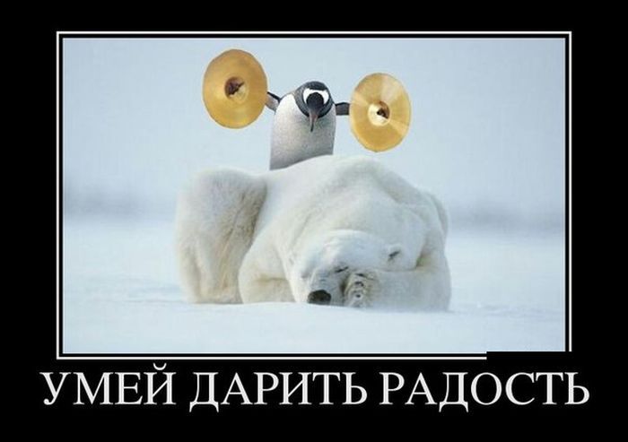 Демотиваторы