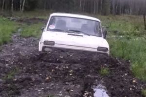 На Ниве по болотах