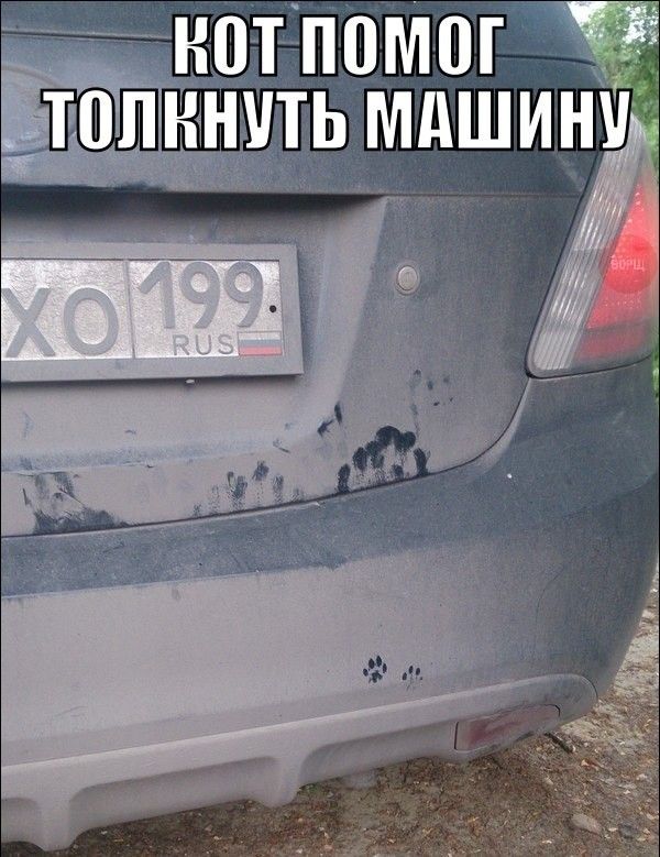 Автоприколы