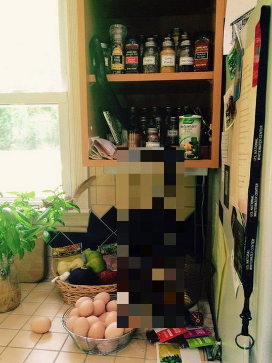 Незваный гость