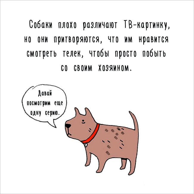 Интересные факты о животных