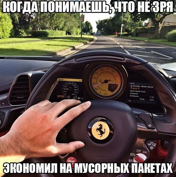 Юмористичные фотографии