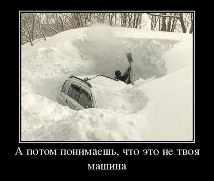 Пятничные демотиваторы