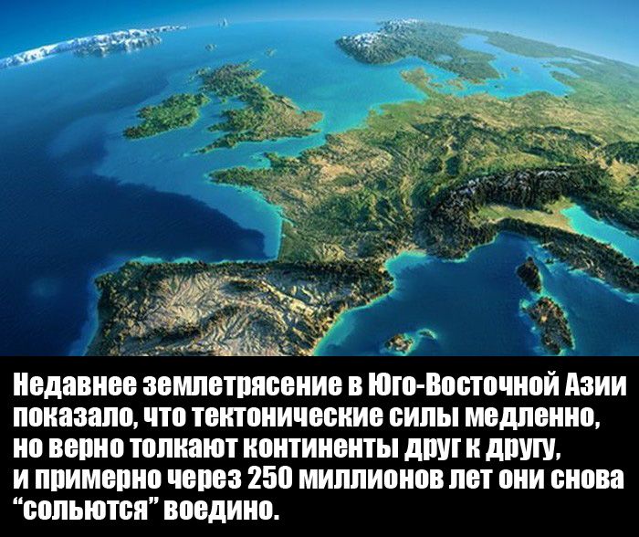 Интересные факты