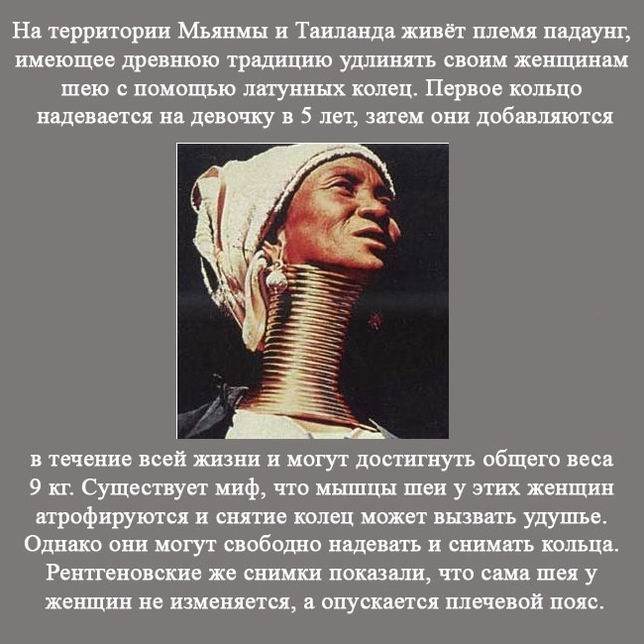 Интересные факты в картинках