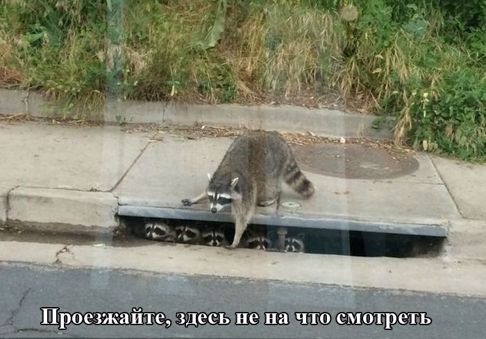 Классная фотоподборка