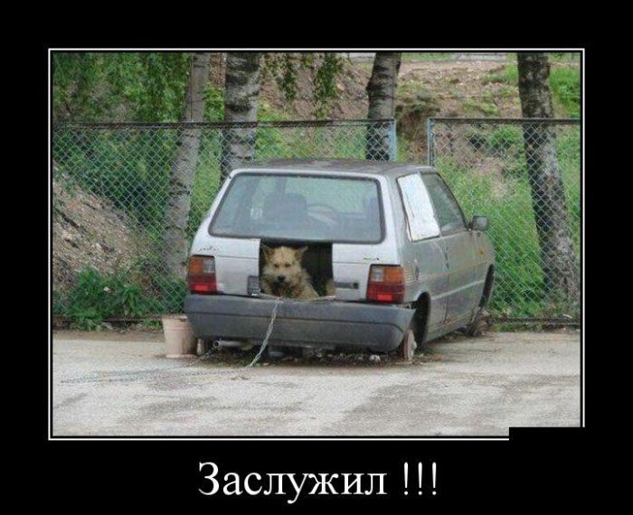 Демотиваторы