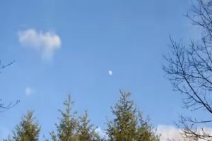 На сколько крут 83-х оптический зум
