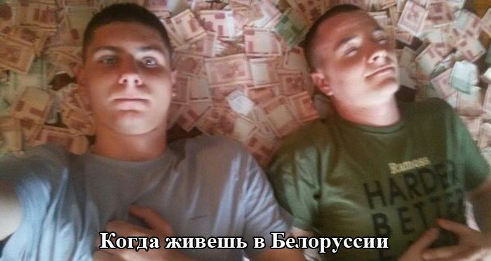 Забавная фотоподборка