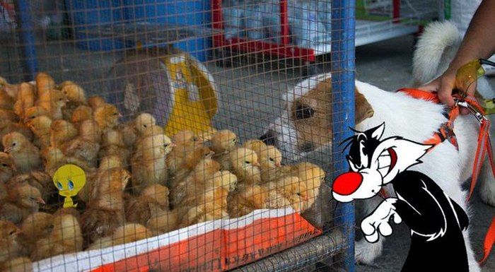 Художественное переосмысление реальности