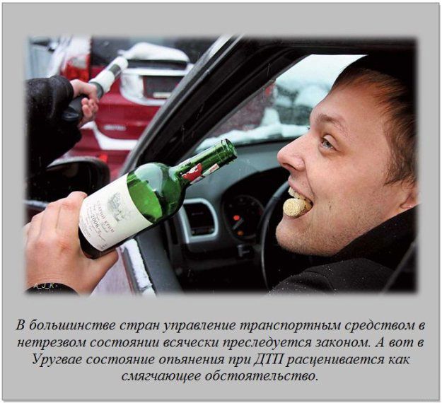 Интересные факты