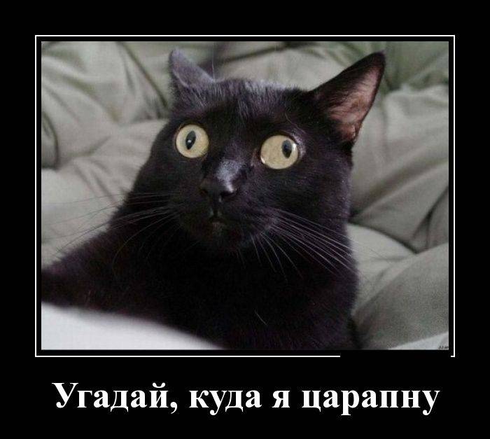 Демотивируемся!
