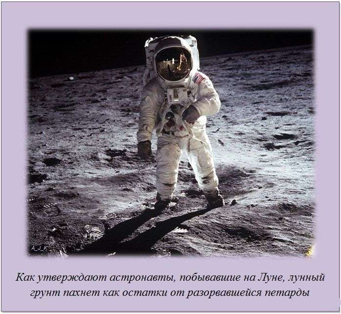 Интересные факты