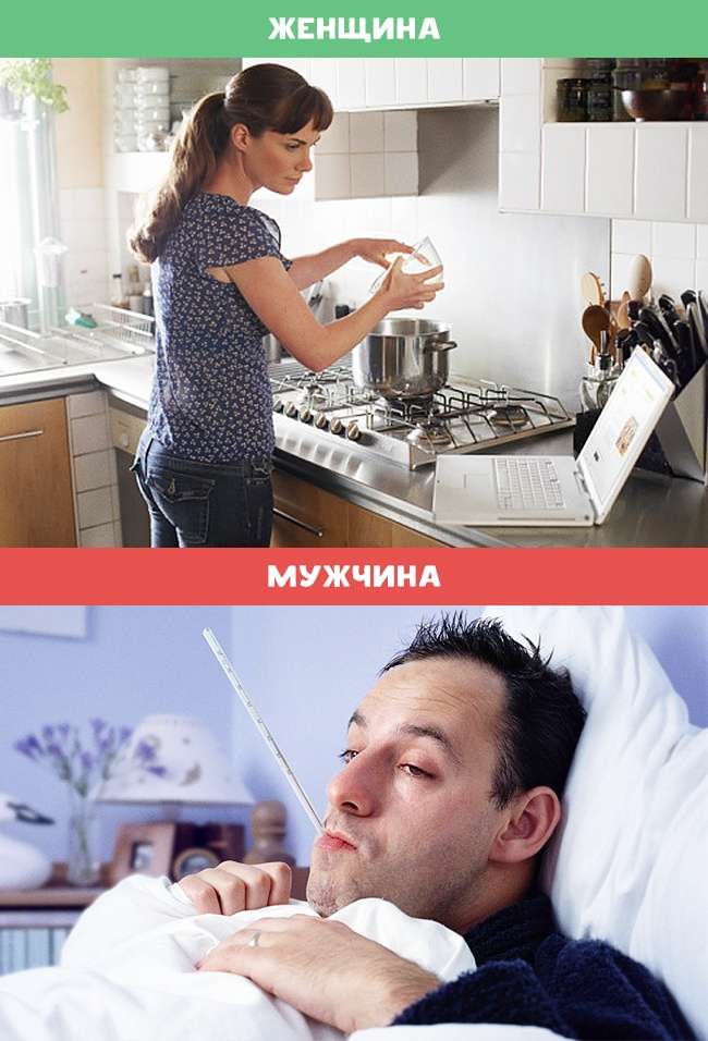 Чем отличаются мужчины и женщины