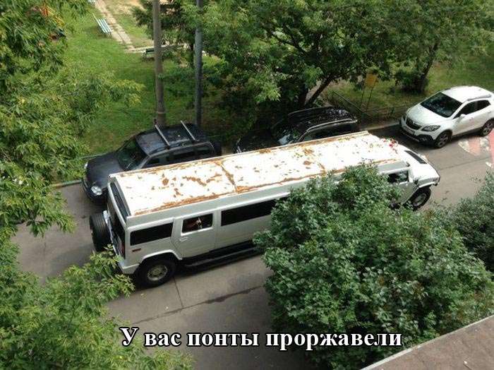 Прикольная фотоподборка