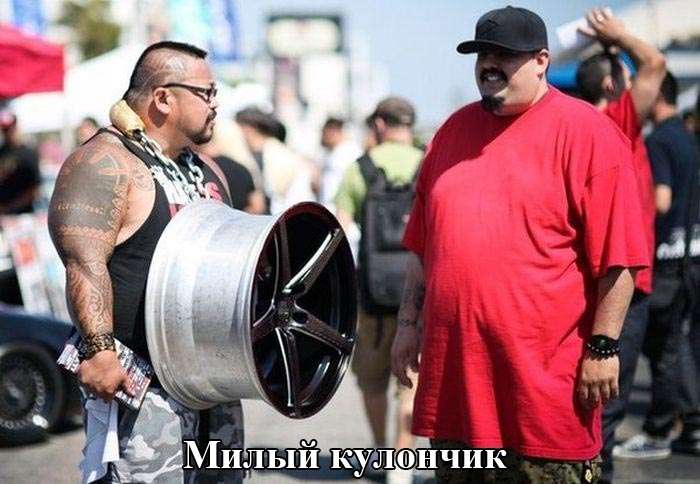 Забавные картинки