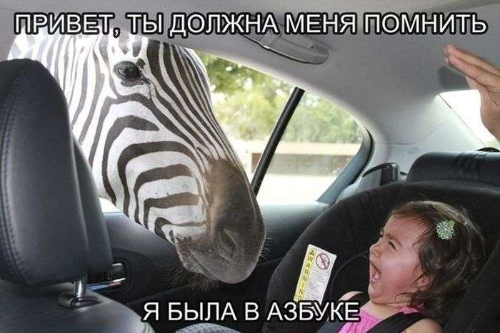 Юмористичные снимки