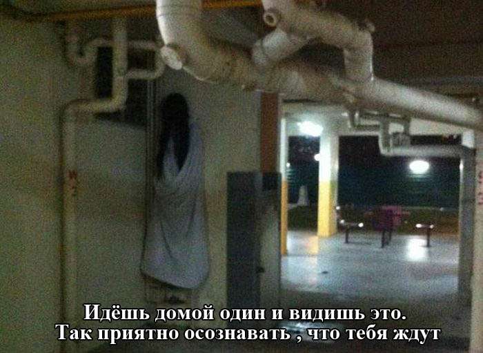 Прикольные картинки на злобу дня