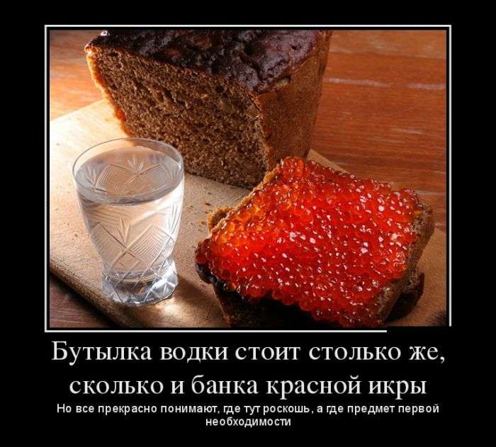 Классная подборка демотиваторов