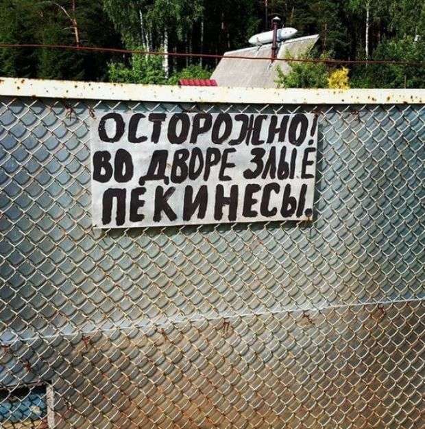 Таблички со смешными предупреждениями о злых собаках