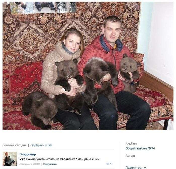 Забавные комментарии из социальных сетей