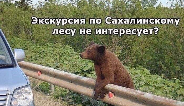 Фото с приколами