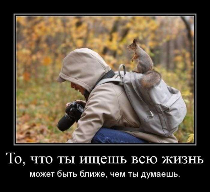 Демотиваторы