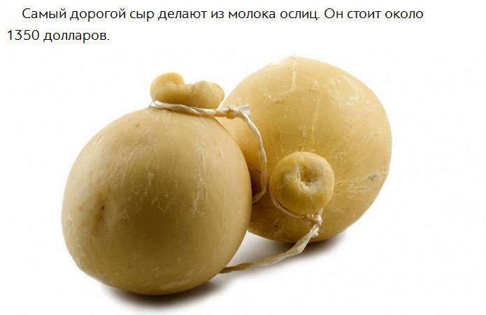 Удивительные факты