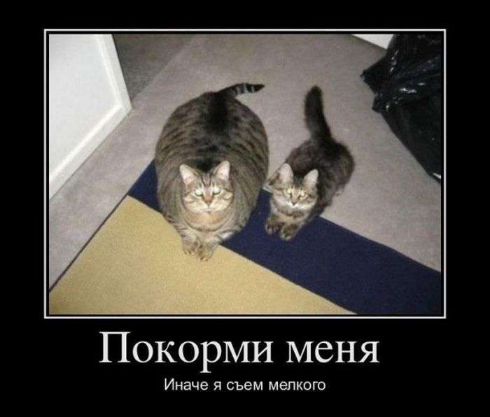 Отличная демотивация