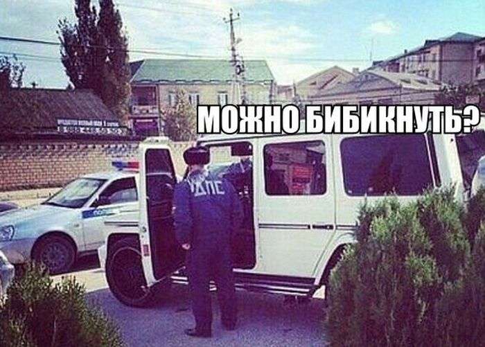 Прикольные картинки с юмором