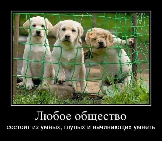 Классная демотивация