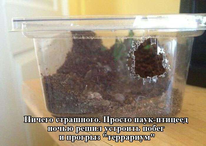 Прикольная фотоподборка