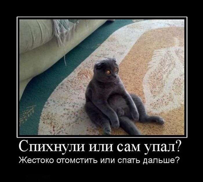 Демотивируемся!
