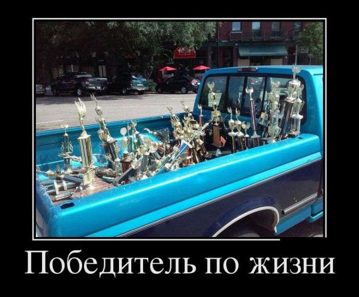 Жизненные демотиваторы