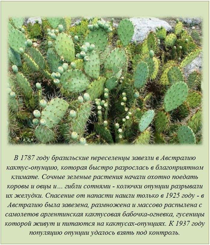 Интересные факты обо всем