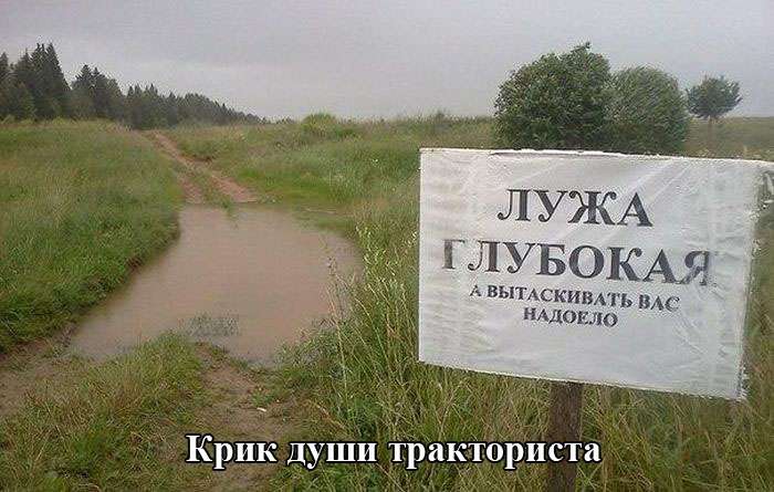 Прикольные картинки