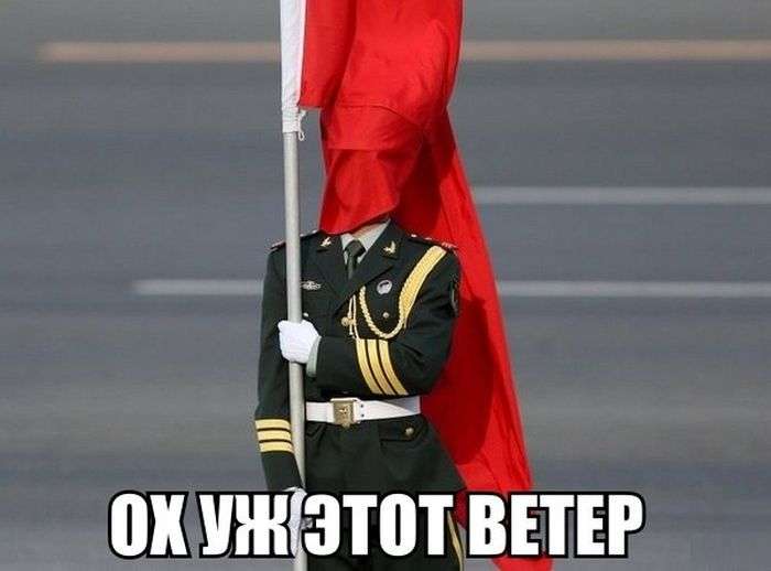 Отличные фото приколы