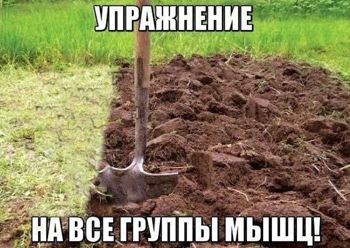 Прикольные картинки на злобу дня